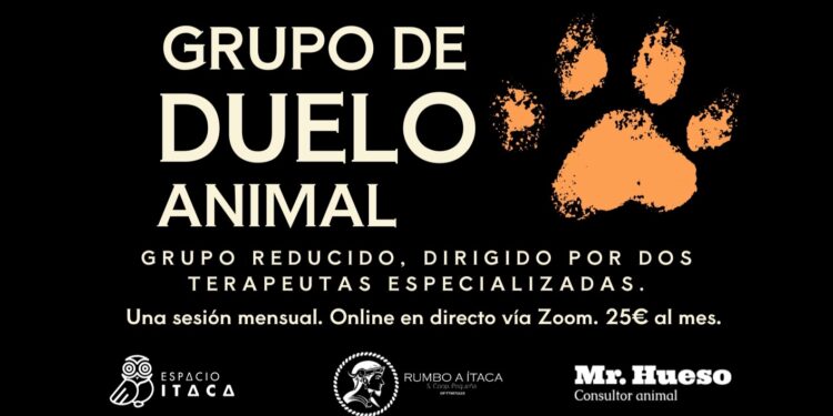 Carteles grupo de duelo – 3 Grupo de duelo animal, online Mr. Hueso