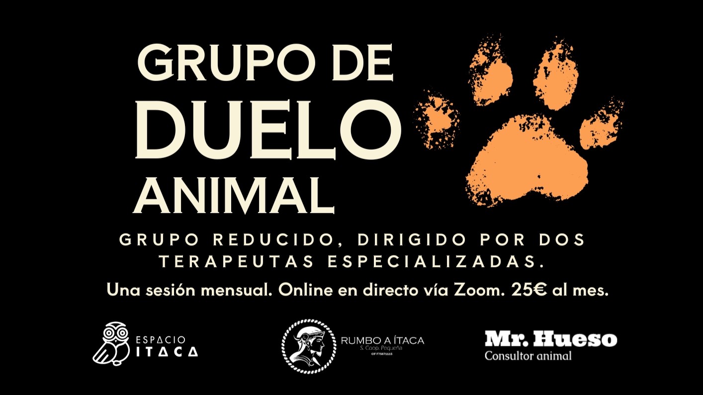 Grupo de duelo animal, online Mr. Hueso