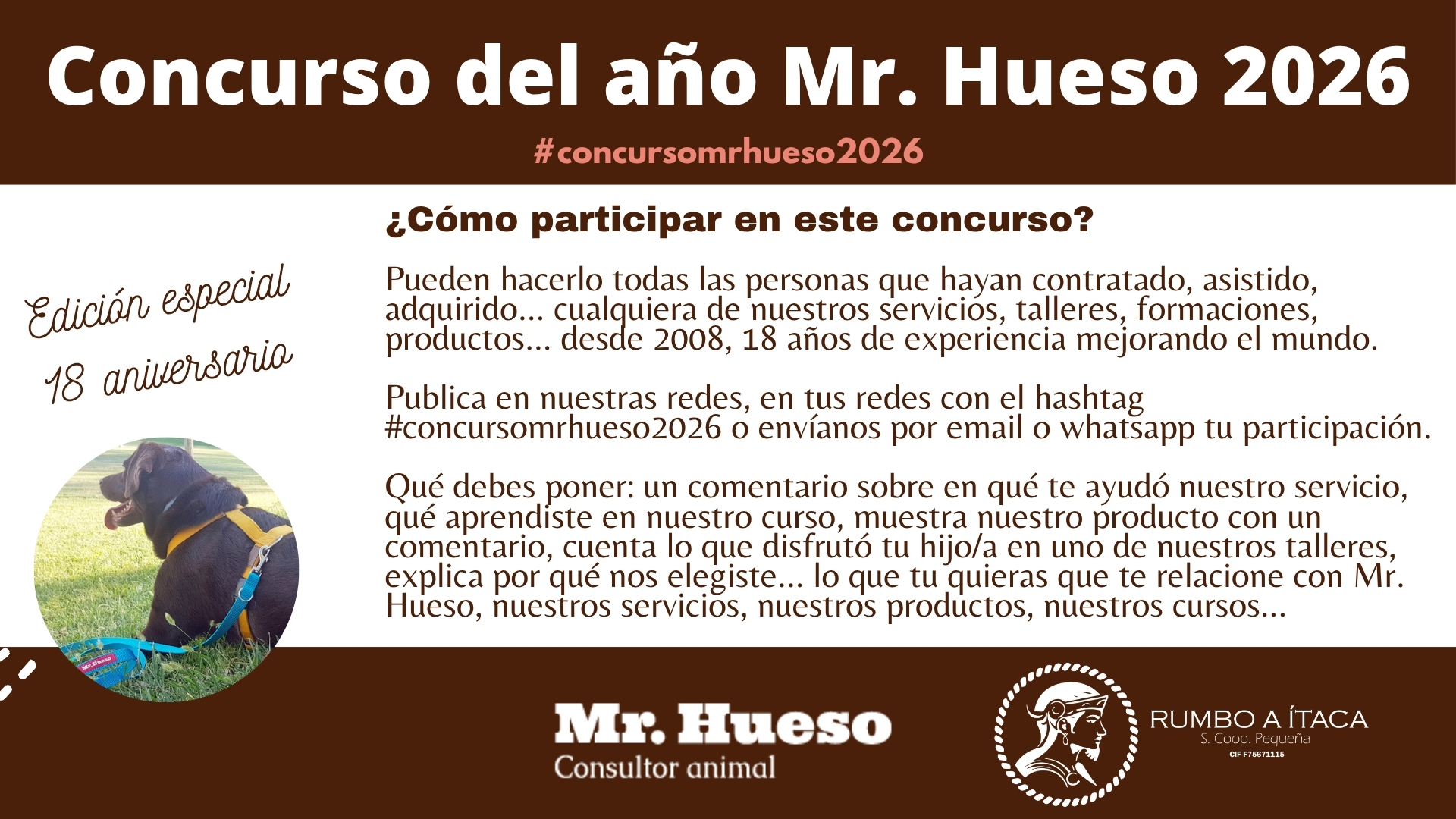 Concurso del año Mr. Hueso 2026 cómo participar