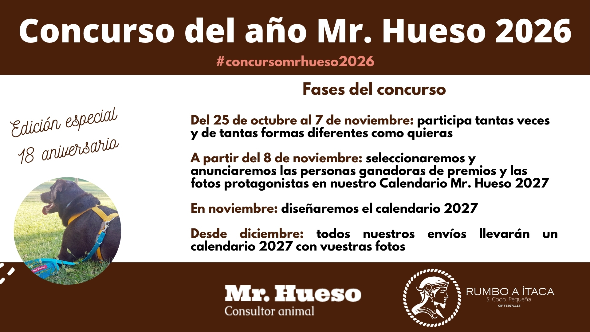 Concurso del año Mr. Hueso 2026 fases y fechas