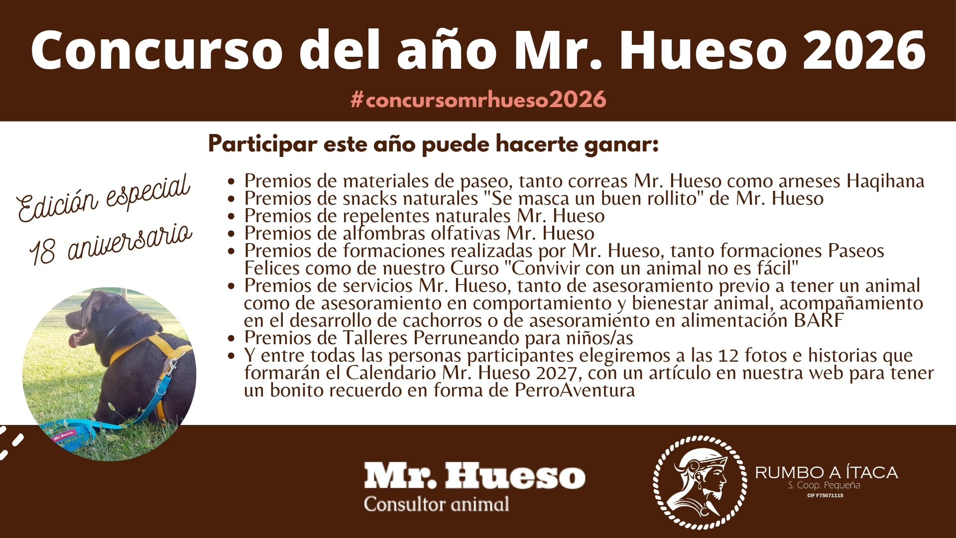 Premios Concurso del año 2026 Mr. Hueso